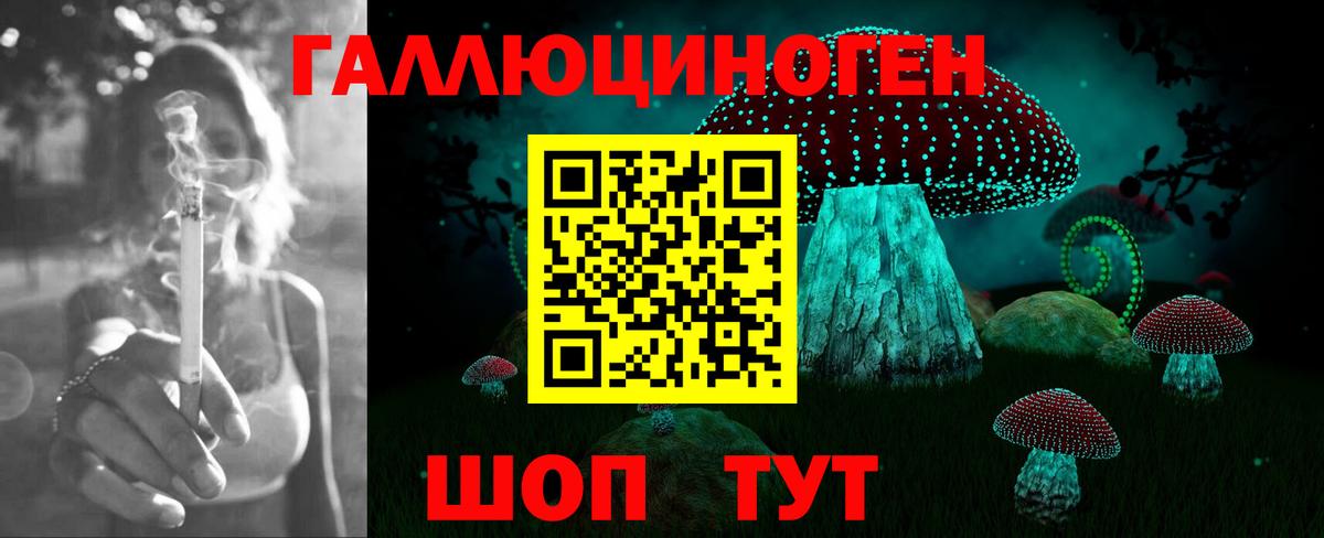 Дзержинск  хочу   Галлюциногенные грибы Magic Shrooms  Вход с VPN  Галлюциногенные грибы GOLDEN TEACHER 